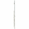 Флейта Azumi AZ-S2 RBI Flute Azumi AZ-S2 RBI Flute