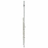 Флейта Azumi AZ-S2 RBI Flute Azumi AZ-S2 RBI Flute