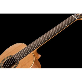 Ортега R18S-L Ortega R18S-L