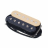 Звукосниматель DiMarzio DP223BC PAF 36th Anniversary