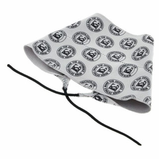 BG Франция Пробирка для клапана A31T5 BG France A31T5 Valve Swab