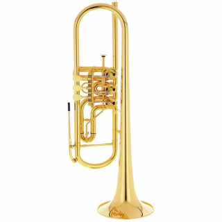 Schagerl Berlin Heavy "Z" Bb- Труба G Schagerl Berlin Heavy "Z" Bb- Trumpet G
