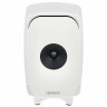 Genelec 8341 AW Genelec 8341 AW