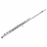 Флейта Muramatsu GX-RCE Muramatsu GX-RCE Flute