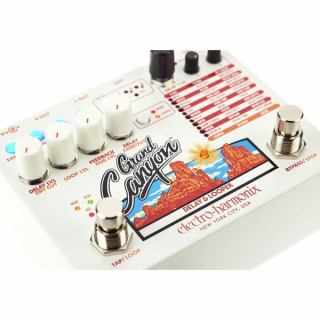 Педаль эффектов Electro Harmonix Grand Canyon Electro Harmonix Grand Canyon
