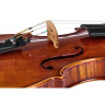 Франц Санднер Сентури Де Люкс Страд. Вн Franz Sandner Century De Luxe Strad. Vn