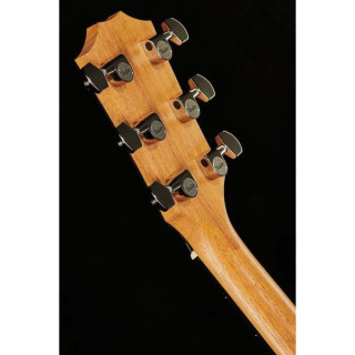 Тейлор 210ce Плюс Taylor 210ce Plus