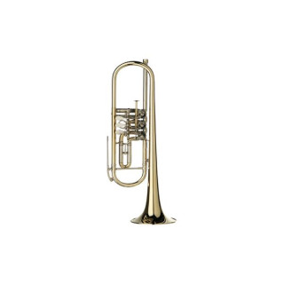 Труба Gerd Dowids NB-Series Bb-Trumpet Gerd Dowids NB-Series Bb-Trumpet