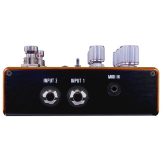 Источник Аудио Pathways Reverb & Tremolo Source Audio Pathways Reverb & Tremolo