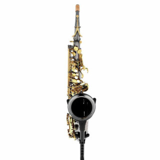 Альт-саксофон Forestone GX Black Nickel Forestone GX Black Nickel Alto Sax
