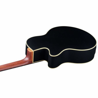  Акустическая бас-гитара Warwick RB Alien Standard 5 FL NT