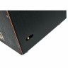 Кахон PUR Vision Pro черный с золотом PUR Vision Pro Black&Gold Cajon