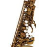Альт-саксофон Schagerl Alto Sax 66FV-EC