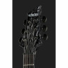 Schecter C-1 Серебряная гора Schecter C-1 Silver Mountain