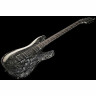 Schecter C-1 Серебряная гора Schecter C-1 Silver Mountain