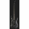 Schecter C-1 Серебряная гора Schecter C-1 Silver Mountain