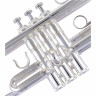 Труба Thomann TR-600 S C Trumpet Thomann TR-600 S C Trumpet