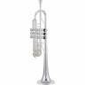 Труба Thomann TR-600 S C Trumpet Thomann TR-600 S C Trumpet