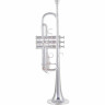 Труба Thomann TR-600 S C Trumpet Thomann TR-600 S C Trumpet