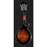 Мандолина The Loar LM-600-VS The Loar LM-600-VS
