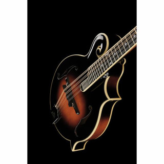 Мандолина The Loar LM-600-VS
