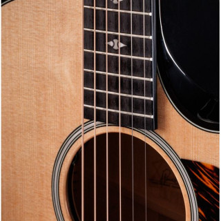 Тейлор Буилдерс Эдишн 514ce Нест Гео Taylor Builders Edition 514ce Next Ge