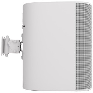 Bose Professional DesignMax DM12SE белый Bose Professional DesignMax DM12SE white