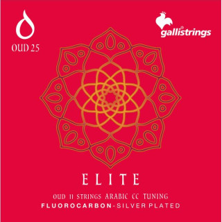 Galli Strings OUD25 Арабская CC настройки FC Galli Strings OUD25 Arabic CC Tuning FC