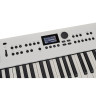 Roland GO:КЛАВИШИ 5 ВТЧ Набор №624718 Roland GO:KEYS 5 WH Bundle №624718