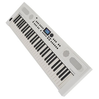 Roland GO:КЛАВИШИ 5 ВТЧ Набор №624718 Roland GO:KEYS 5 WH Bundle №624718