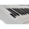 Roland GO:КЛАВИШИ 5 ВТЧ Набор №624718 Roland GO:KEYS 5 WH Bundle №624718
