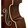 Двухцветный контрабас Duke BRG 3/4 Duke Two Tone BRG Double Bass 3/4