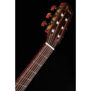 Тонкая линия Takamine TSP148NCNS Takamine TSP148NCNS Thinline