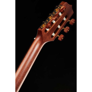 Тонкая линия Takamine TSP148NCNS Takamine TSP148NCNS Thinline