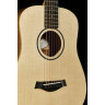 Акустическая гитара Taylor BT1 Baby Taylor Walnut Taylor BT1 Baby Taylor Walnut