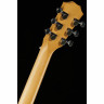 Акустическая гитара Taylor BT1 Baby Taylor Walnut Taylor BT1 Baby Taylor Walnut
