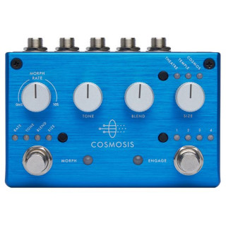 Пигтроникс Космосис Pigtronix Cosmosis