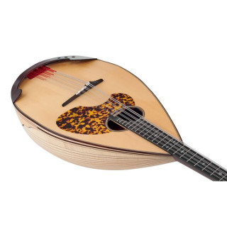 Ацуши Мияно Мандолончелло MC-4 MR Atsushi Miyano Mandoloncello MC-4 MR