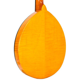 Мандолина Gold Tone GM-10 Frypan Mandoline w/Case