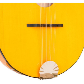 Золотой тон GM-10 Frypan Мандолина с кейсом Gold Tone GM-10 Frypan Mandoline w/Case