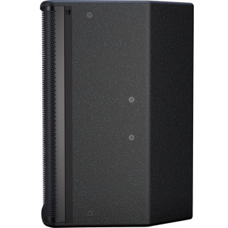 Bose Professional ShowTime SK12 Черный Bose Professional ShowTime SK12 Black