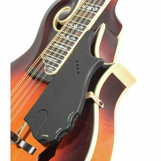 Звукосниматель для мандолины Shadow SH 927 NMG-4 Nanomag Bluegrass Shadow SH 927 NMG-4 Nanomag Bluegrass