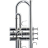 Schagerl "1961" Bb-Труба B2G S Schagerl "1961" Bb-Trumpet B2G S