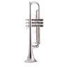 Schagerl "1961" Bb-Труба B2G S Schagerl "1961" Bb-Trumpet B2G S