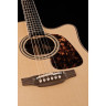 Takamine P7DC с мягким чехлом Takamine P7DC w/Softcase