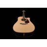 Takamine P7DC с мягким чехлом Takamine P7DC w/Softcase