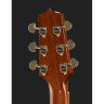 Takamine P7DC с мягким чехлом Takamine P7DC w/Softcase