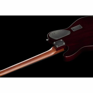 Электроакустическая гитара James Neligan EW3000 CN James Neligan EW3000 CN