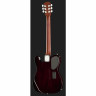 Электроакустическая гитара James Neligan EW3000 CN James Neligan EW3000 CN