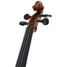 Гева Георг Вальтер Скрипка GY Gewa Georg Walther Violin GY